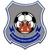 柴桢logo