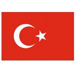 土耳其女足logo